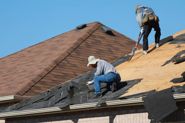 Best Roof Ventilation Installation  in Navasota, TX